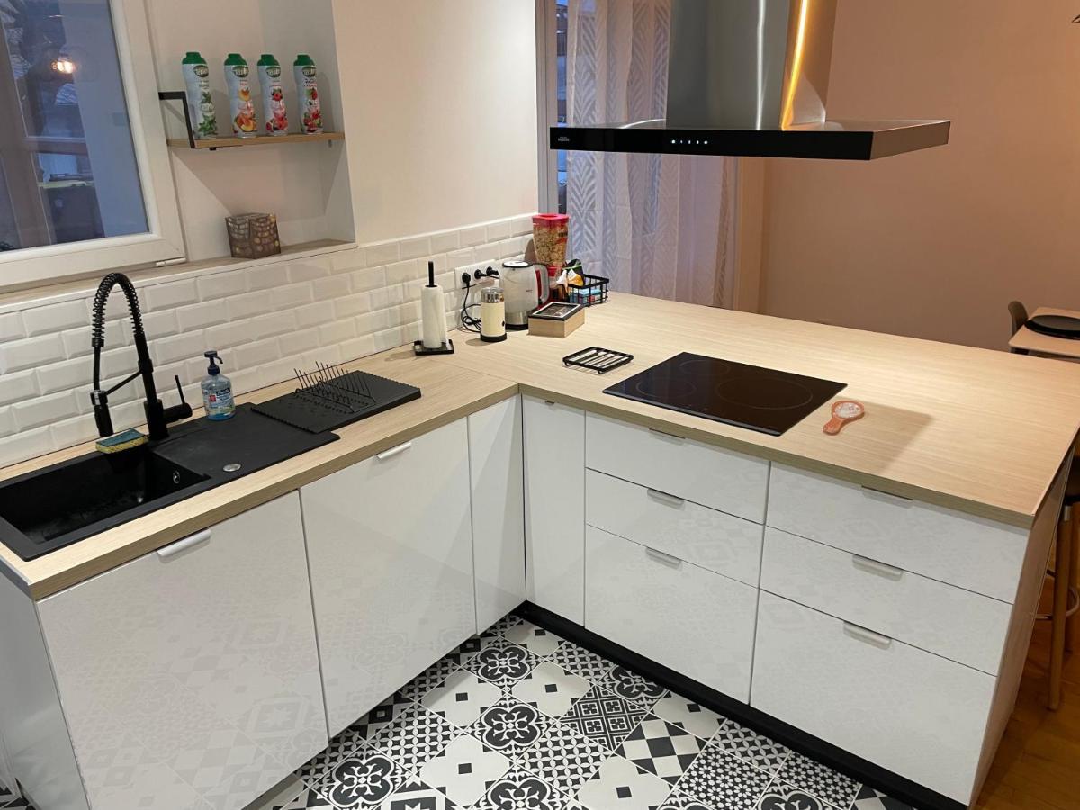 Appartement Du Lion Belfort Esterno foto