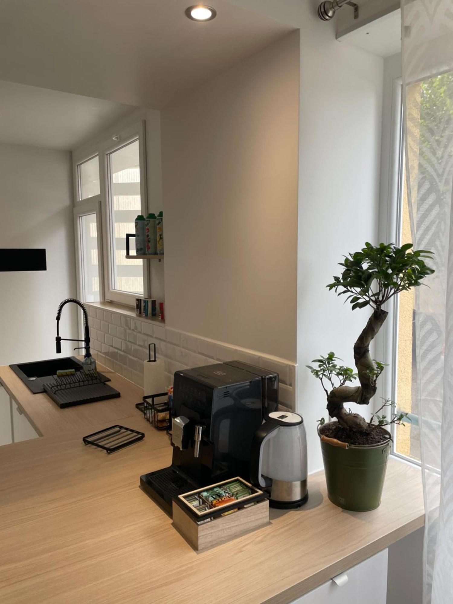 Appartement Du Lion Belfort Esterno foto